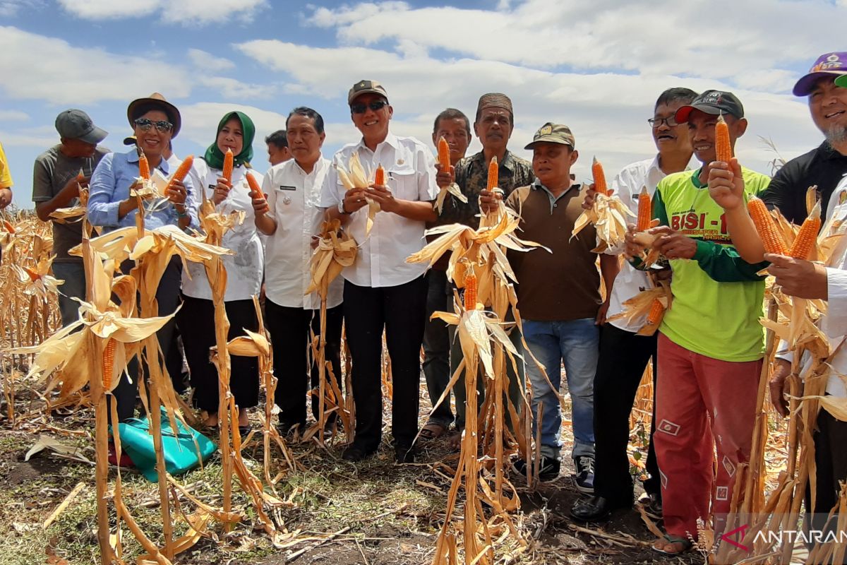 Gubernur Gorontalo yakin pertanian melesat di tangan Syahrul