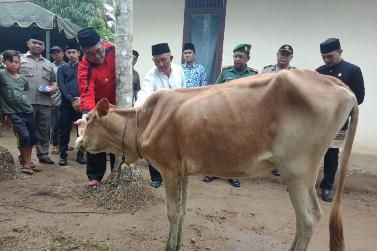 Dongrak ekonomi petani Aceh Barat bantu 20 ekor ternak
