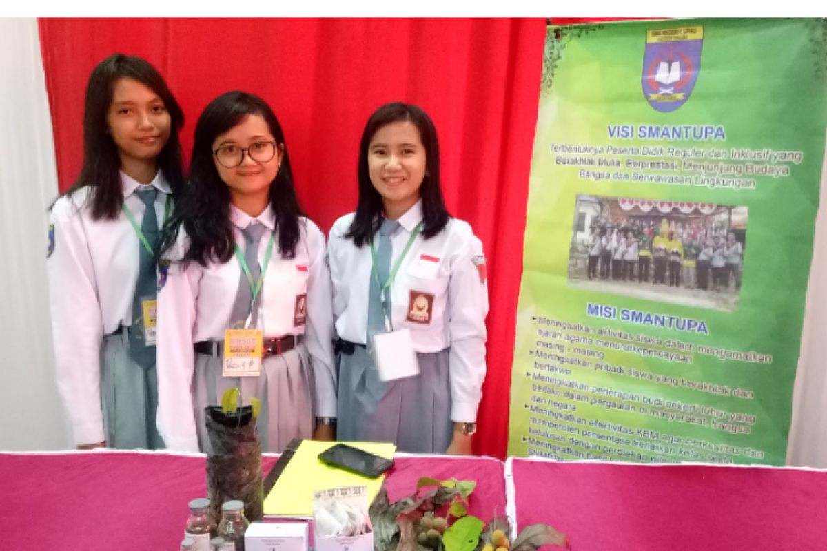 Siswa Tabalong buat serbuk daun dulang sebagai penyedap