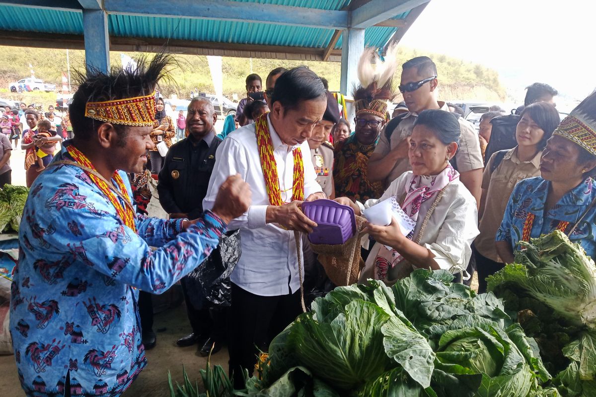 Bupati: infrastruktur jalan kebutuhan mendesak Pegunungan Arfak