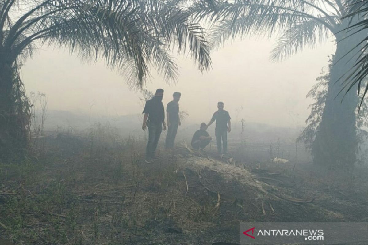 Karhutla di Riau jerat 9 tersangka perorangan