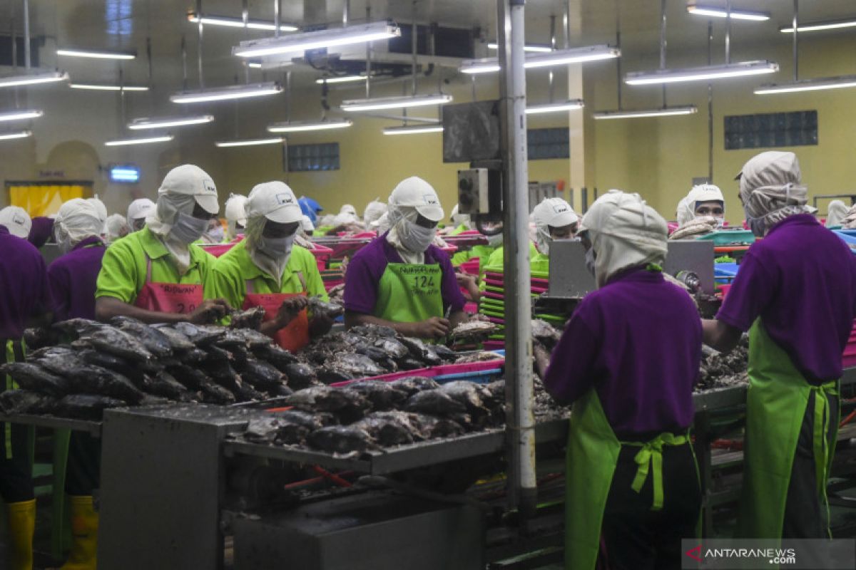 KKP: Investasi sektor perikanan terhambat karena imbas pandemi
