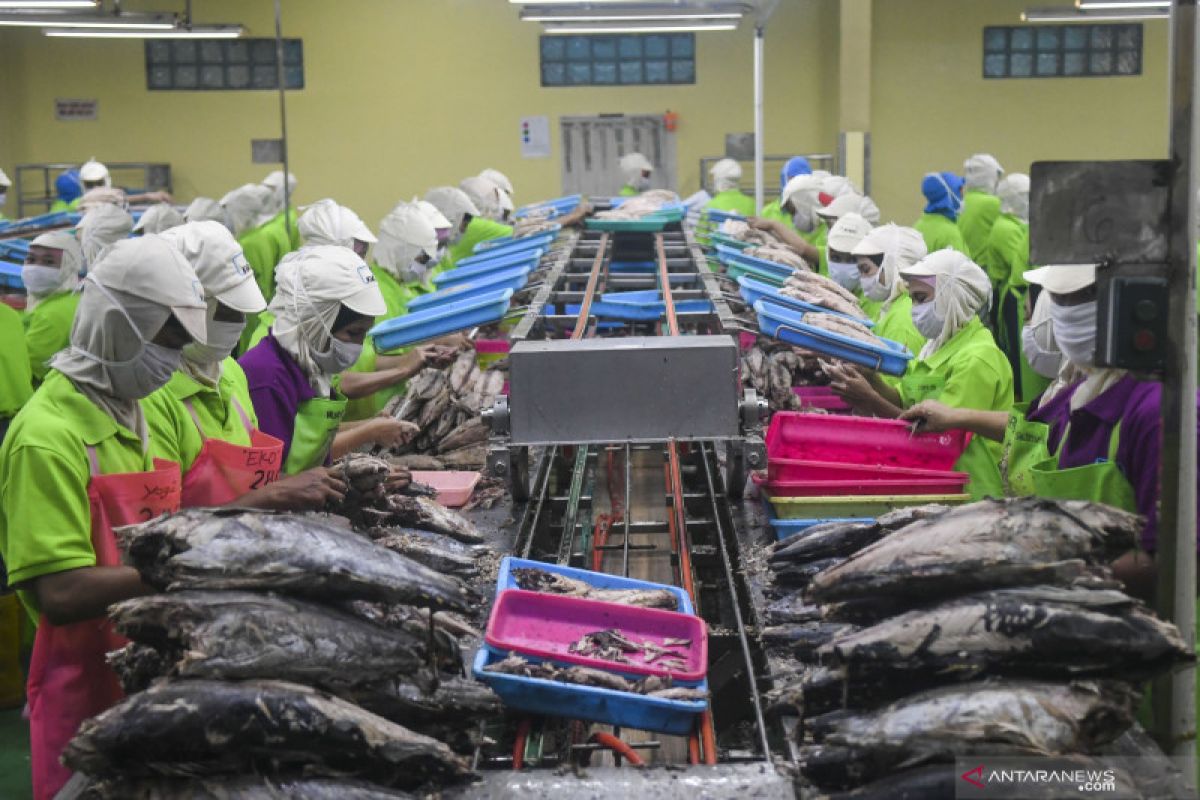 KKP: Investasi sektor kelautan dan perikanan di Indonesia didominasi China
