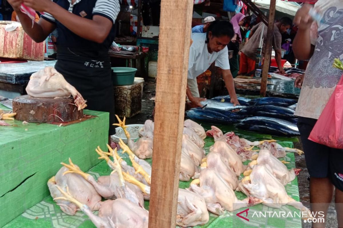 Harga daging ayam beku pasokan Surabaya  di Ambon normal