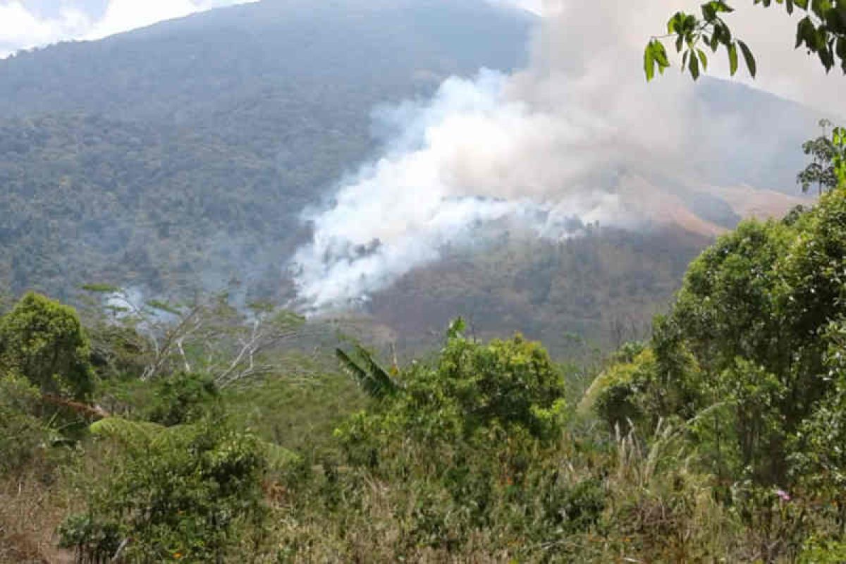 Hutan  Gunung Ciremai yang terbakan kian luas