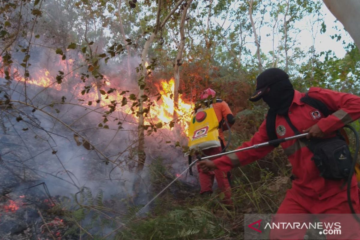 Dewan sebut Manggala Agni pahlawan pemadam karhutla