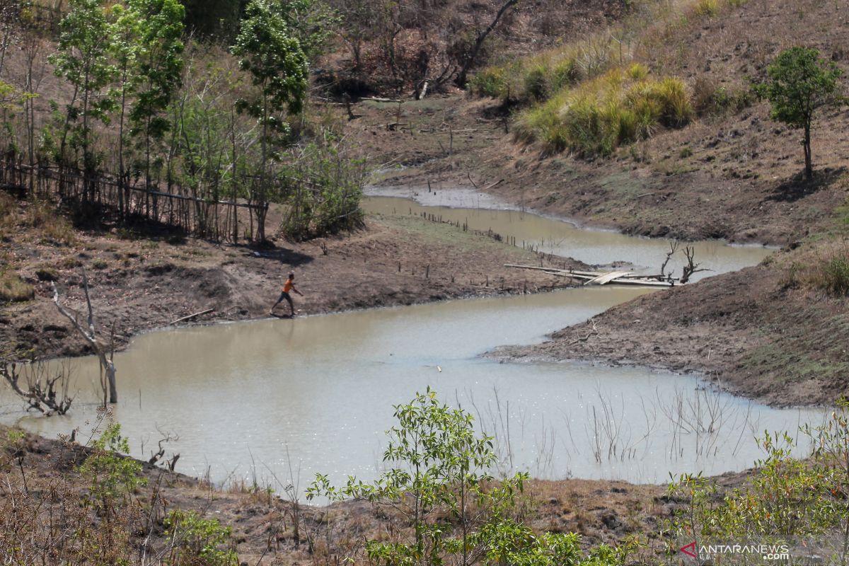 Sejumlah wilayah NTT masih alami kekeringan ekstrem