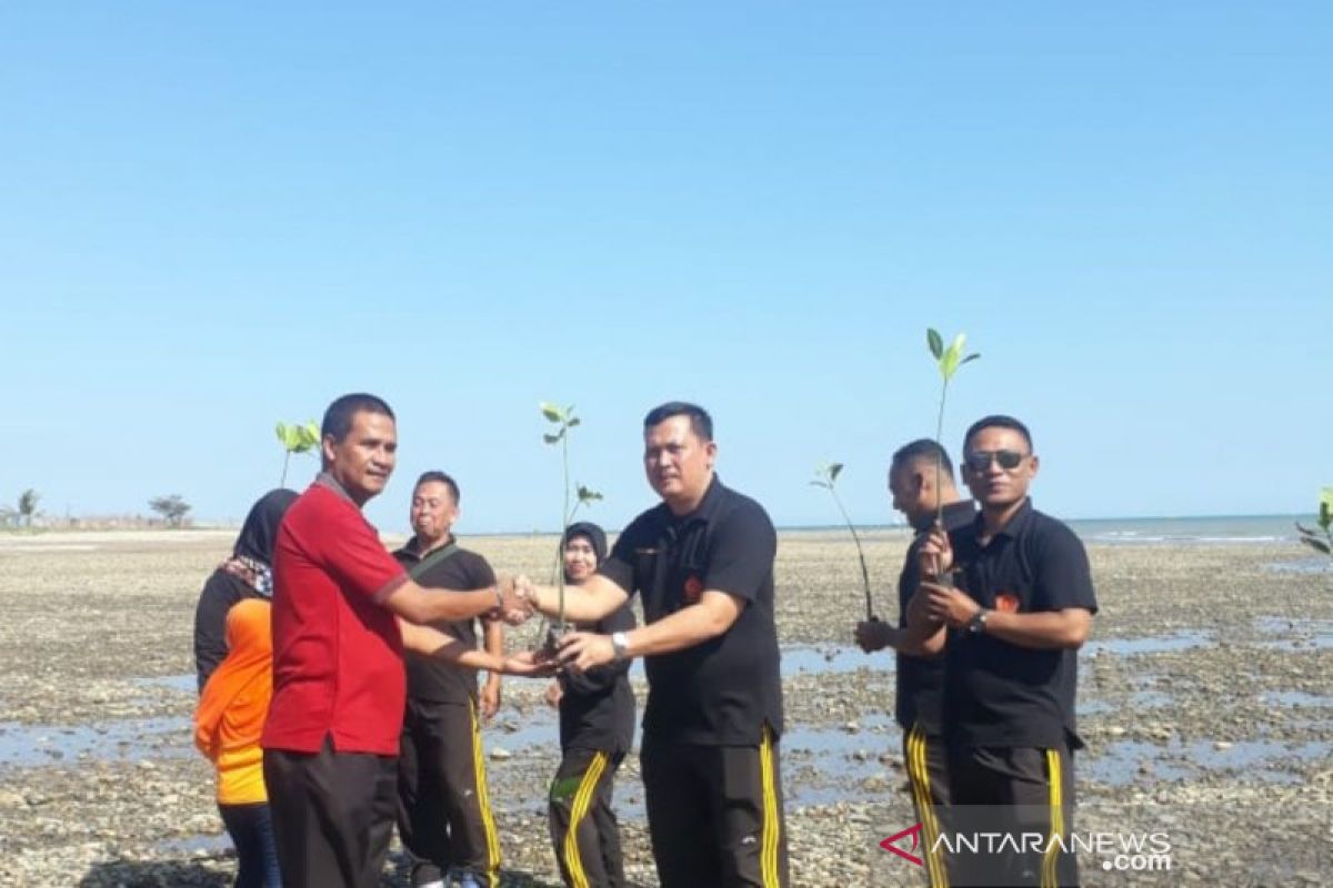 Warga Mata Air tanam 2.800 pohon bakau di Pantai Sulamanda