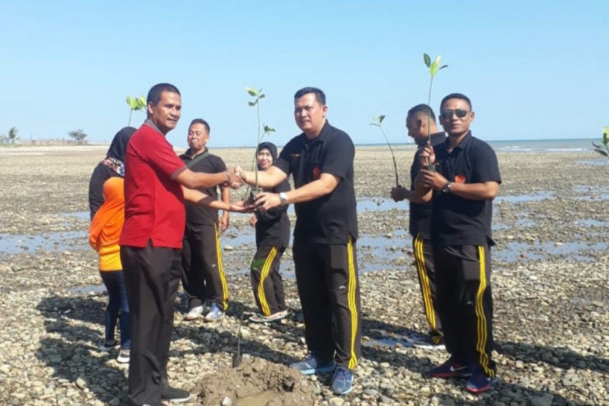 Di Pantai Sulamanda-NTT, warga desa menanam ribuan pohon bakau