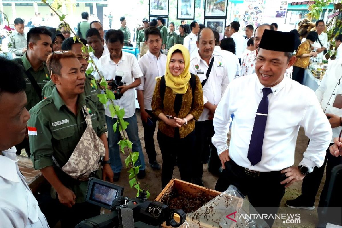 Pemanfaatan hutan di Kalteng baru capai lima persen