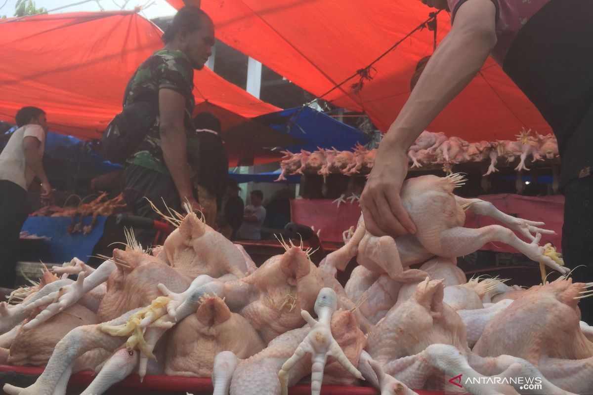 Legislator desak Disperindag Palangka Raya tekan harga daging ayam potong