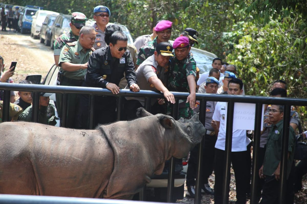 Arinal dan komitmen lindungi badak sumatera