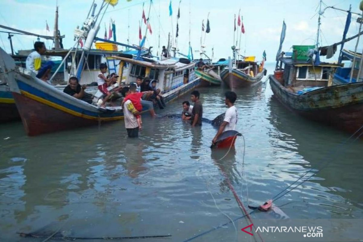 Nelayan Bangka Selatan temukan ikan hiu paus terdampar