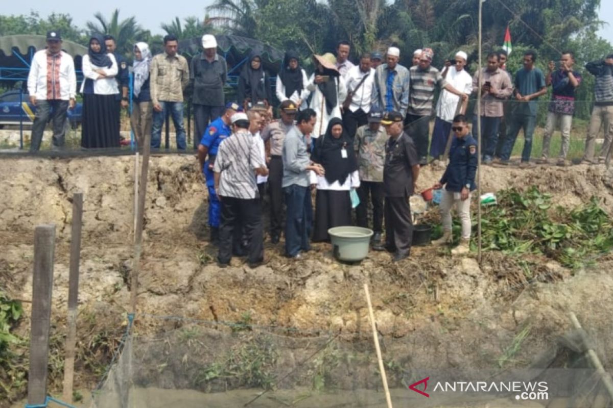 Bupati HST panen perdana ikan pepuyu di desa Walatung