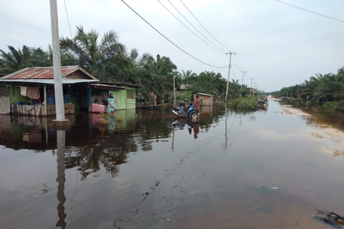 Dua dusun di Bengkalis terendam banjir, aktivitas warga lumpuh