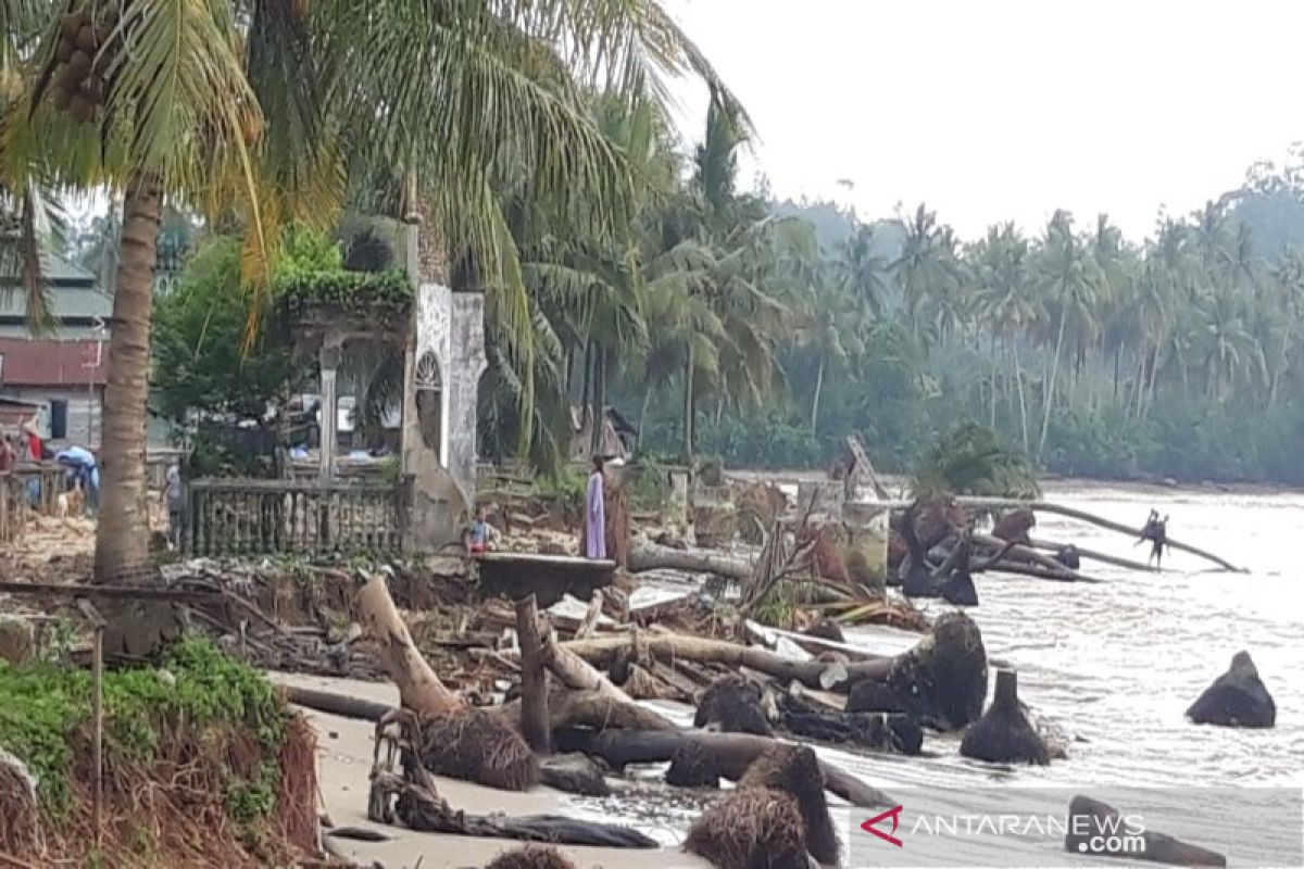 Mengkhawatirkan, Pantai Tabuyung Madina abrasi sepanjang satu kilometer