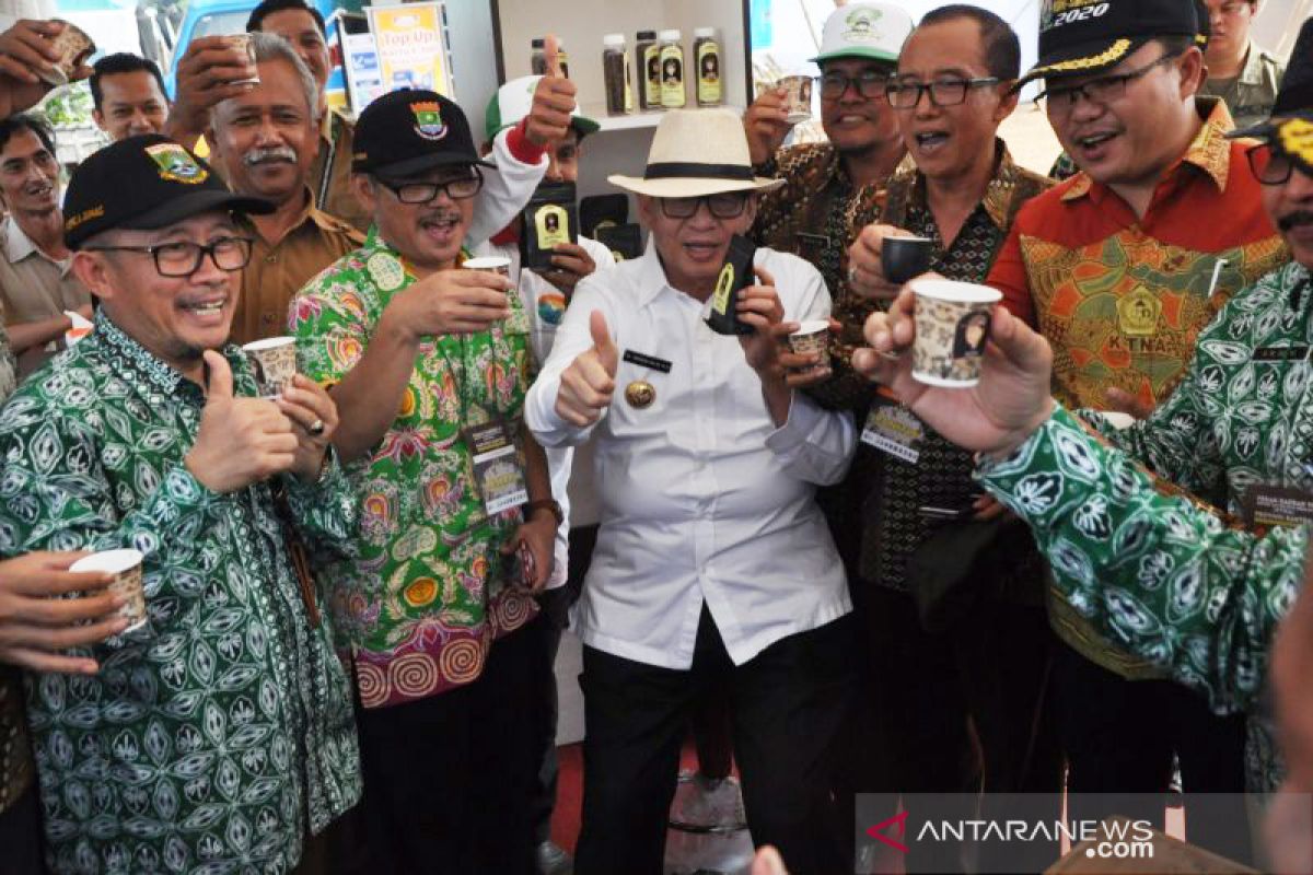 Banten kembangkan ratusan hektare kopi pada 2020