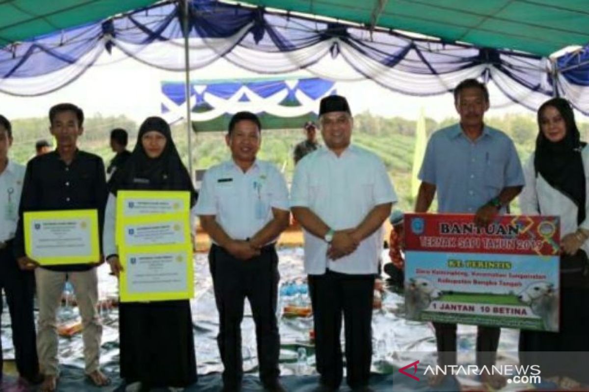 Gubernur dorong petani lada di Babel jadi anggota koperasi