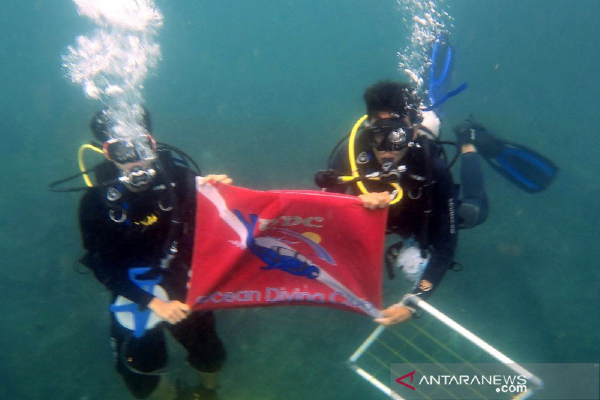 Penyelam ODC Unsyiah lakukan monitoring di perairan Aceh