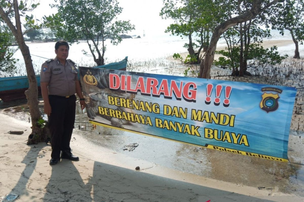 Spanduk peringatan ancaman buaya dipasang di kawasan pantai Belinyu