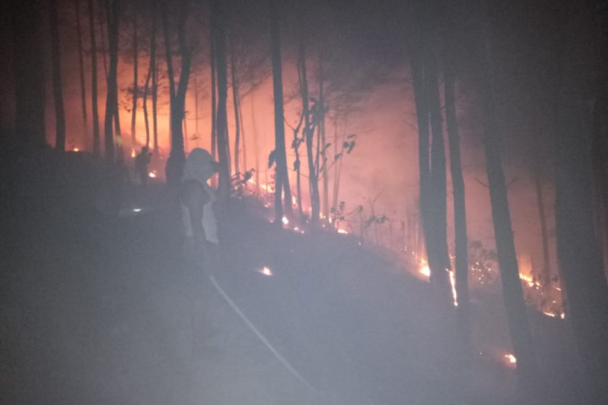 Kawasan hutan di Trenggalek terbakar