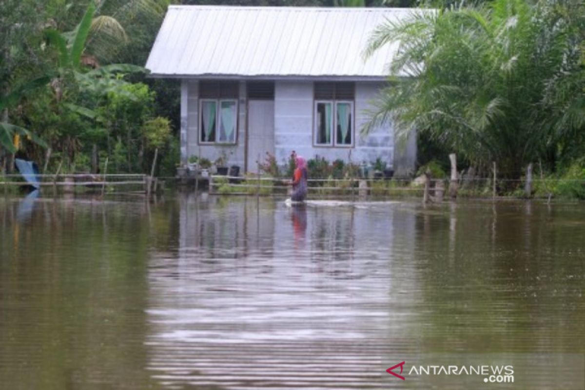 Banjir meluas, ratusan warga di Aceh Barat masih mengungsi