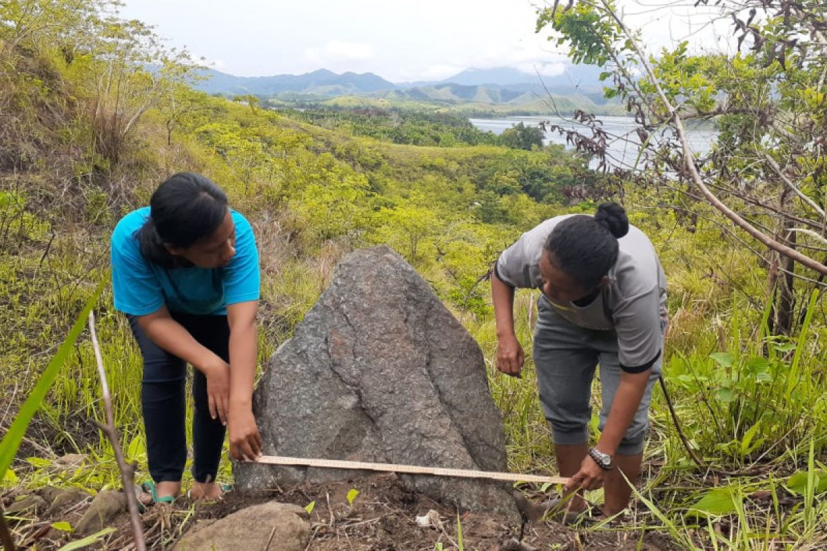 Arkeolog temukan papan batu megalitik dan menhir di Jayapura