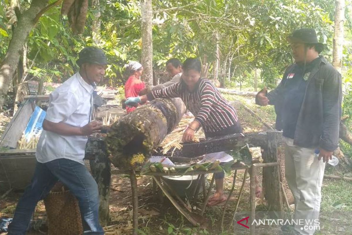 Gula Tebu Berpotensi Jadi Unggulan Desa Mahulu