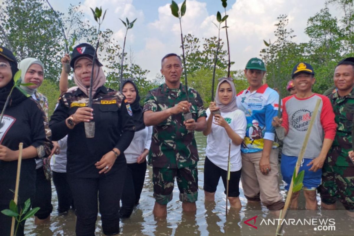 Prajurit TNI AL tanam 4.000 bibit mangrove di Bangka Belitung