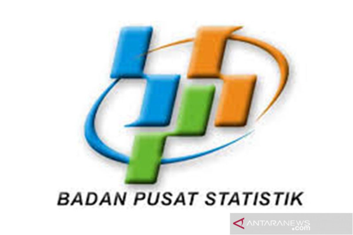 BPS catatkan investasi alami perlambatan triwulan III-2019