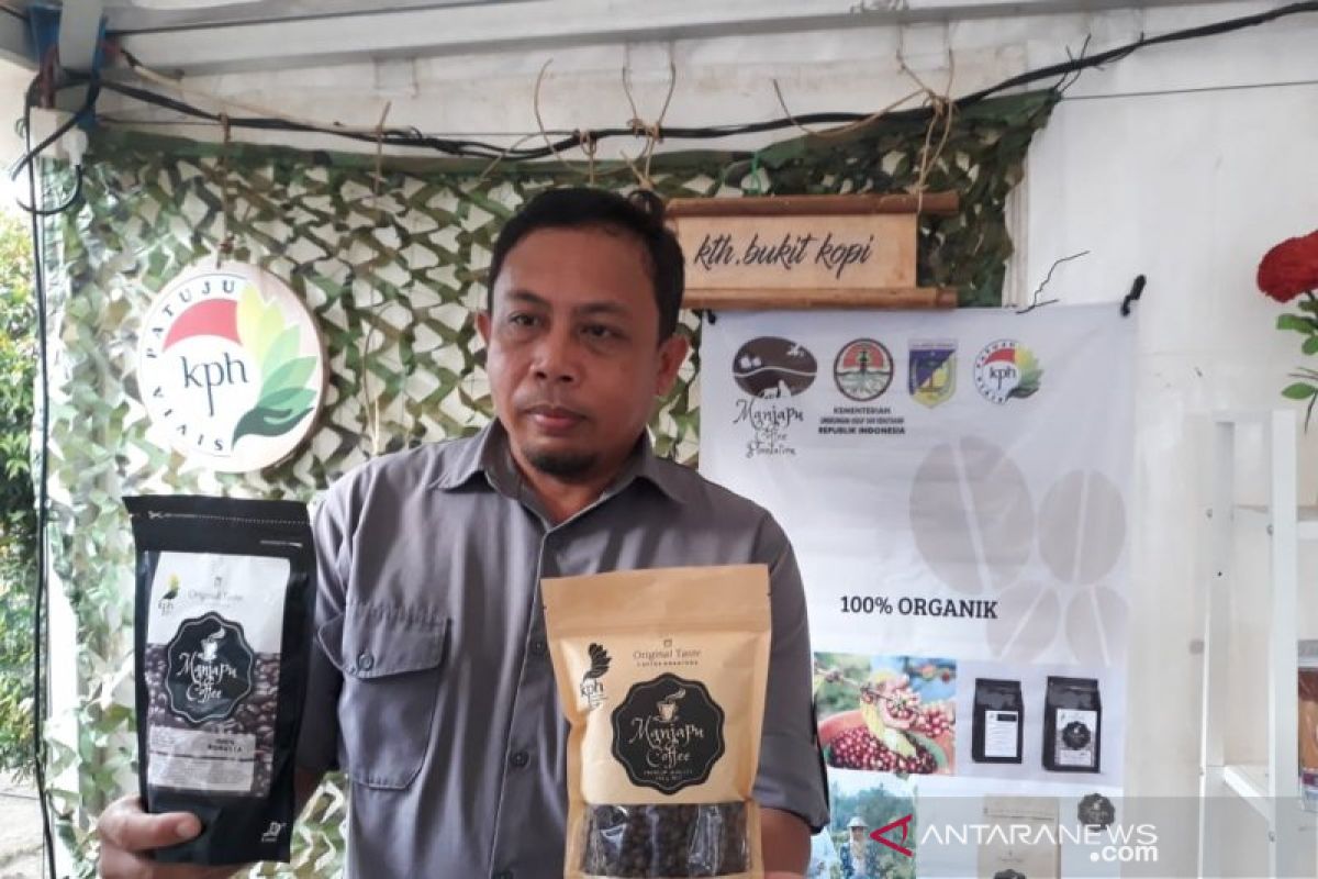 KPH Sivia Patuju kembangkan kopi robusta cegah deforestasi