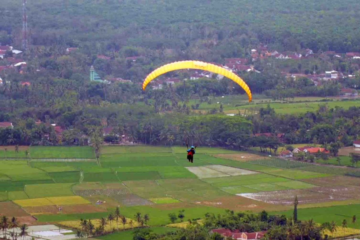 Kejuaraan paralayang di Jember dongkrak pariwisata