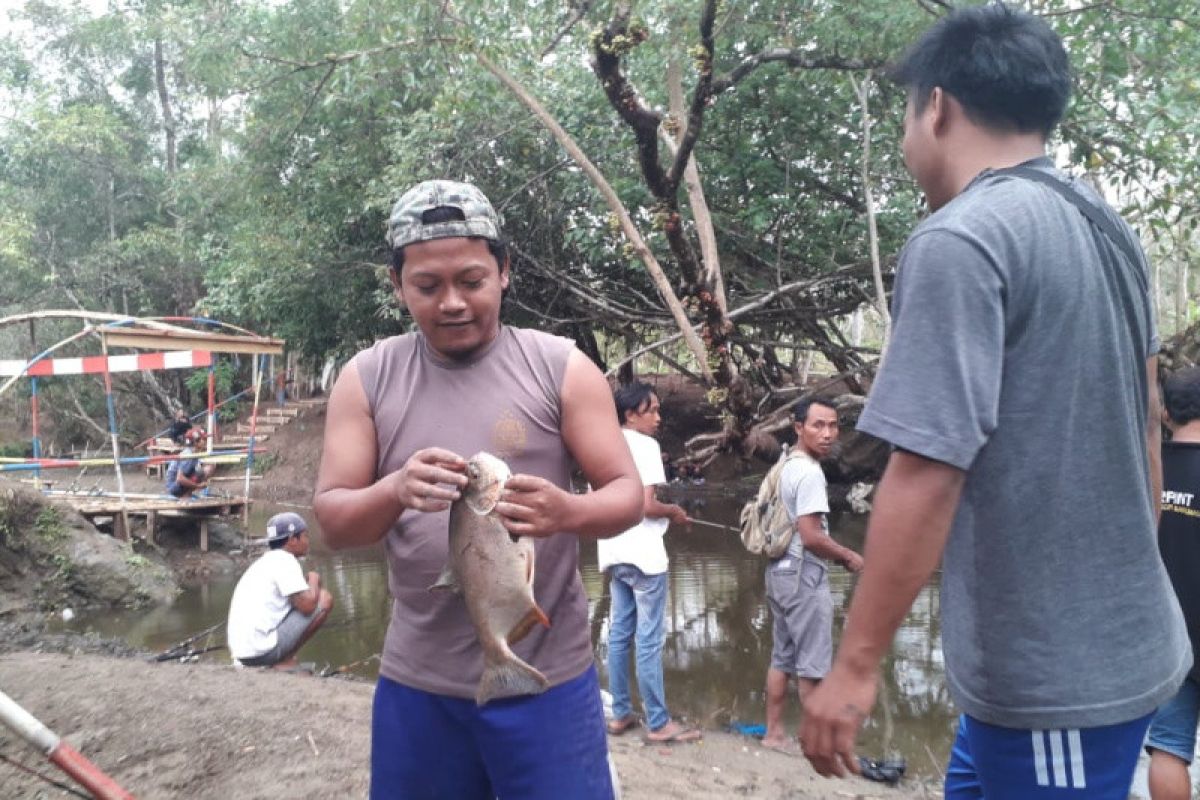 Krama Cenil makin diminati wisatawan