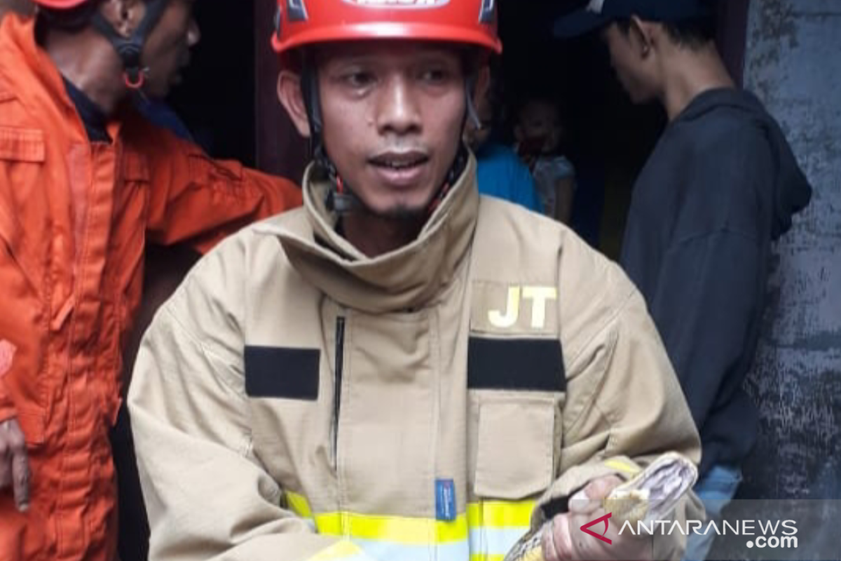 Lima jam pencarian, kobra di Ciracas gagal ditemukan petugas damkar