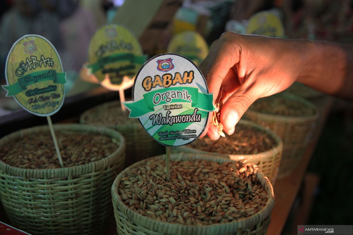 Dinas Pangan Gorontalo bagikan 1.000 paket pangan lokal gratis
