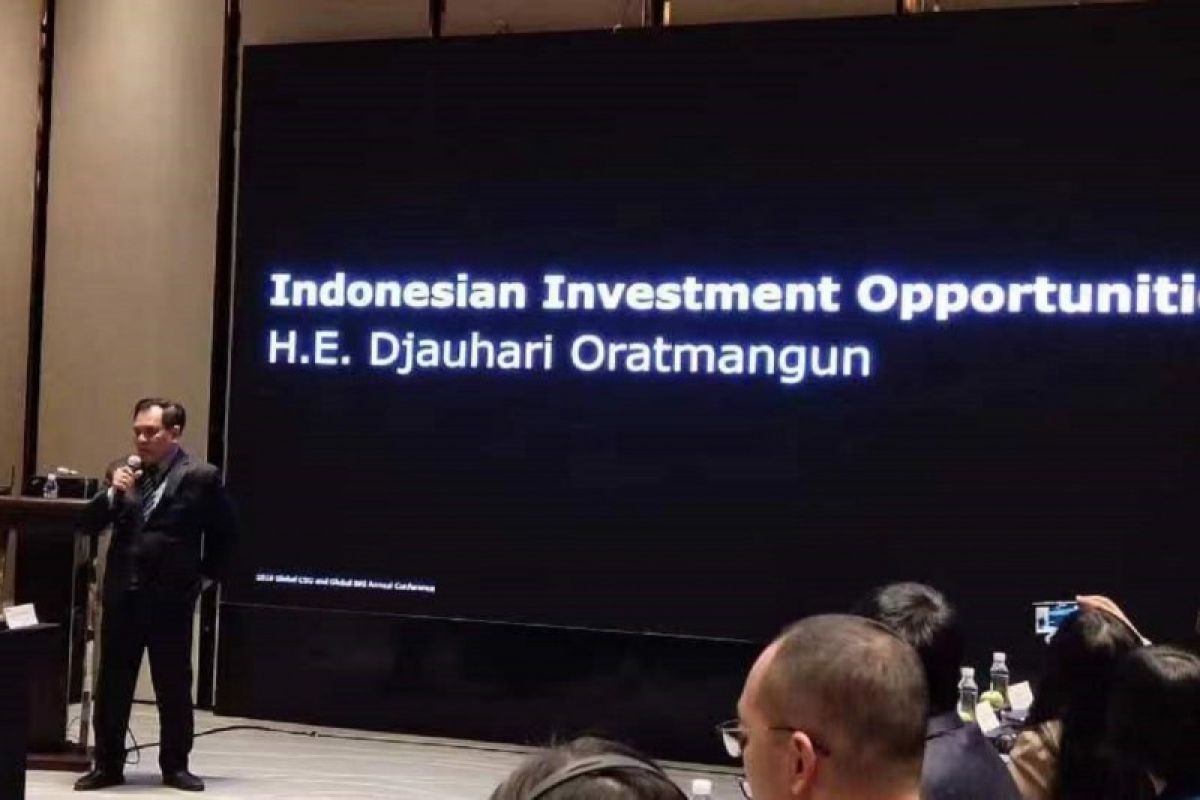 Dubes RI ingatkan investor China gandeng mitra yang tepat