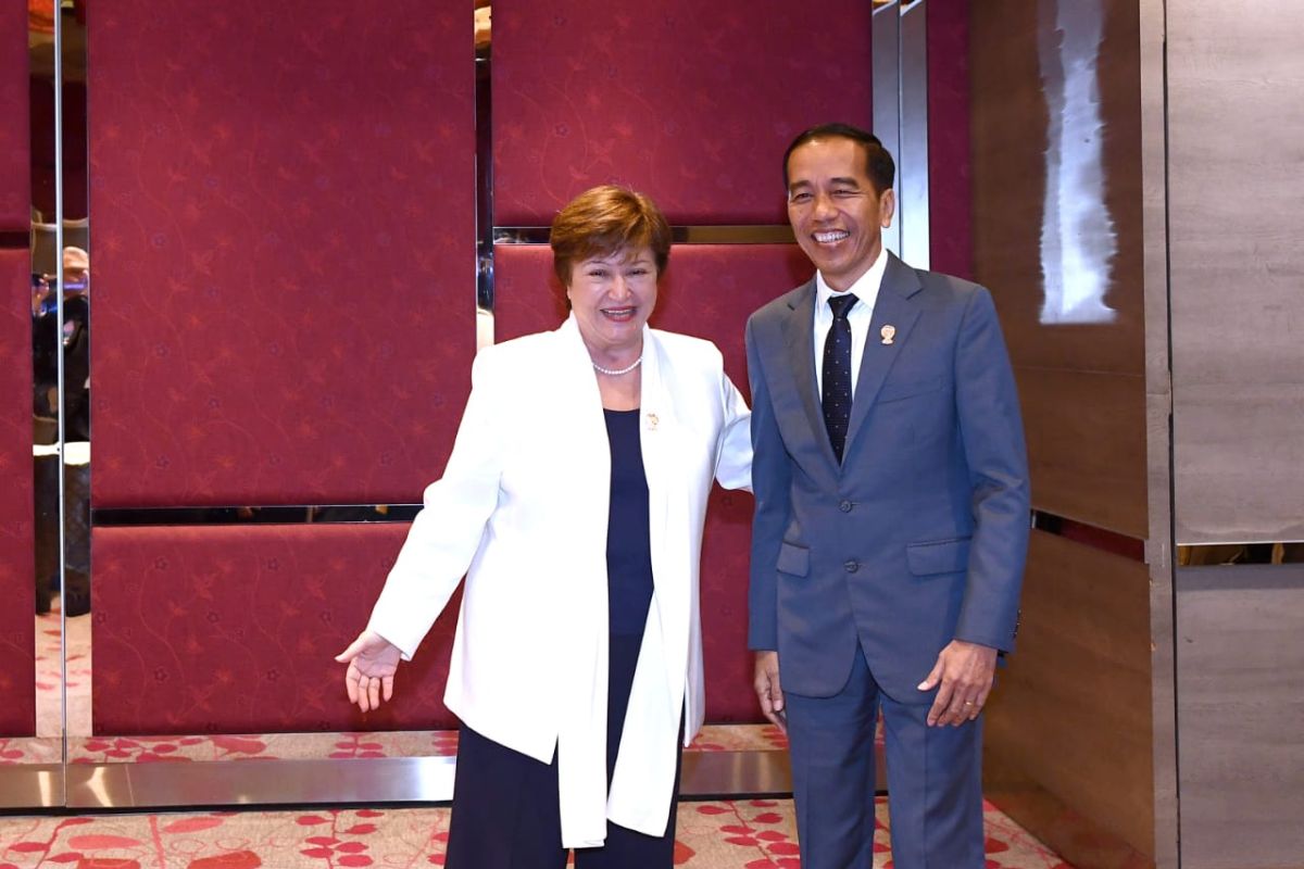 President Joko Widodo, IMF Managing Director discuss global economy