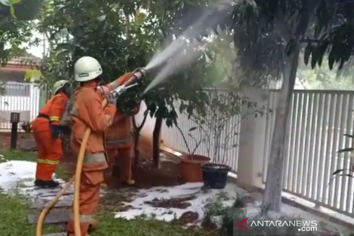 Petugas pemadam evakuasi sarang tawon yang me resahkan warga