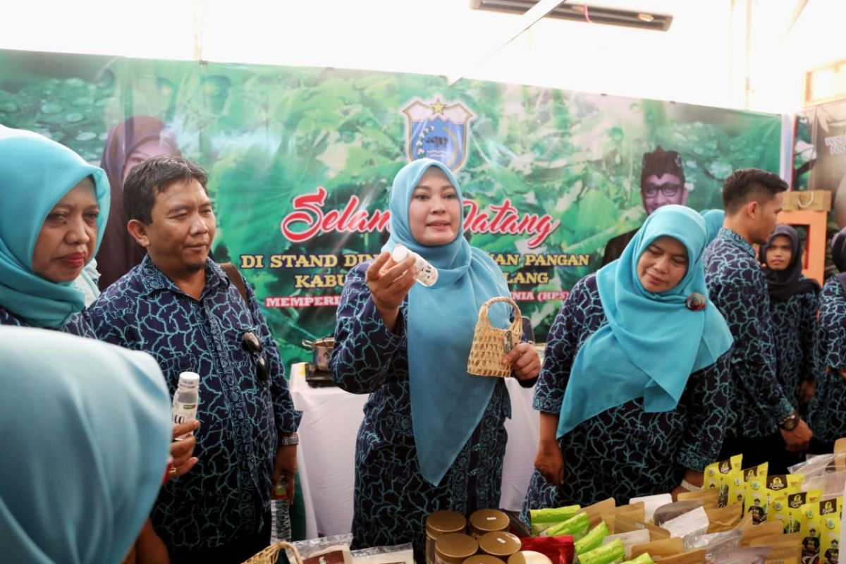 Bupati Irna perkenalkan produk Pandeglang pada HPS di Kendari