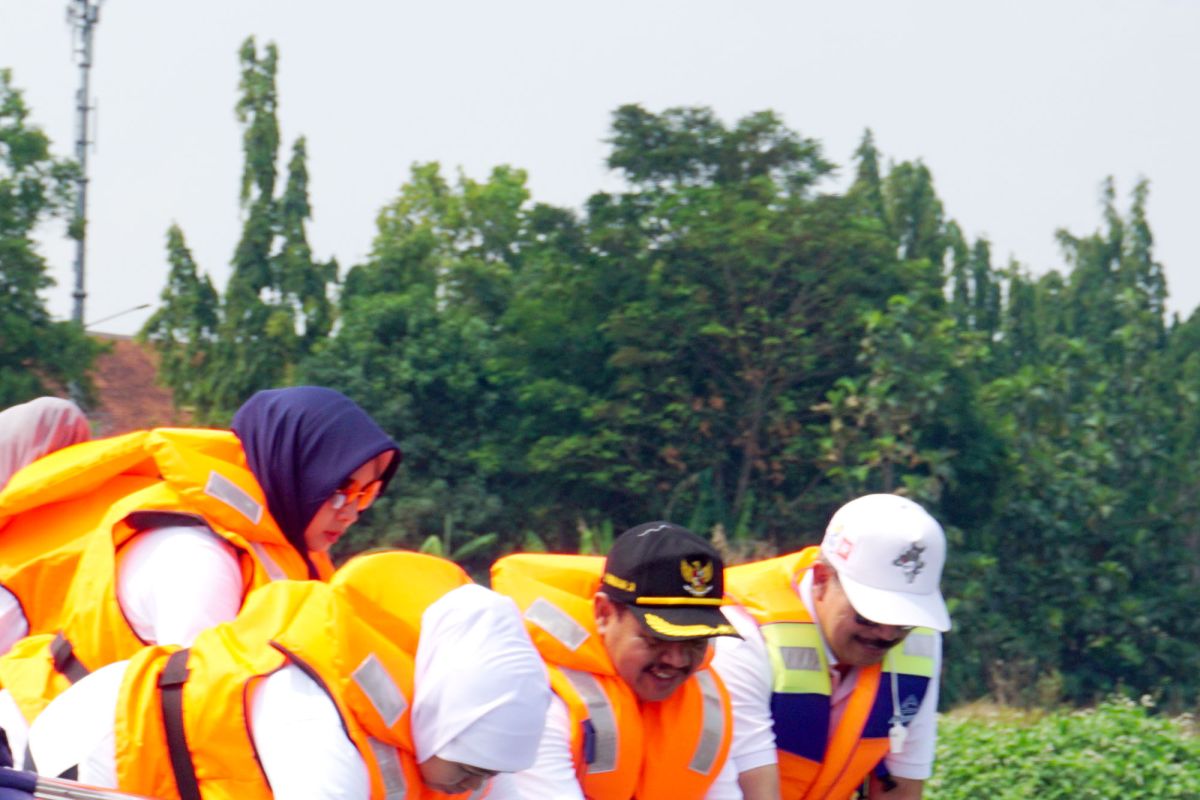 Limbah popok menjadi masalah serius bagi lingkungan