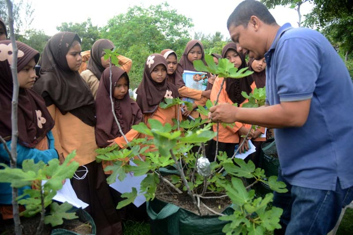 Murid SD praktek mengenal tanaman petani