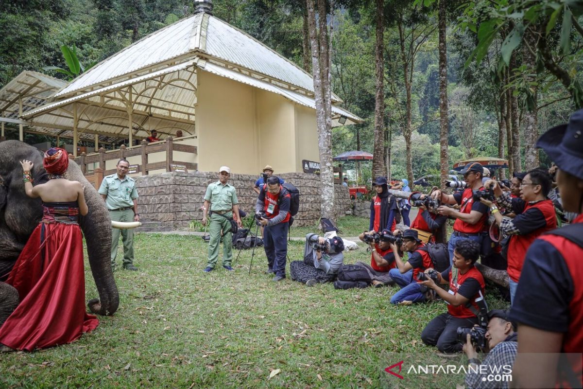 Taman Safari akan gelar puncak acara lomba foto satwa IAPC 2019 di Bogor