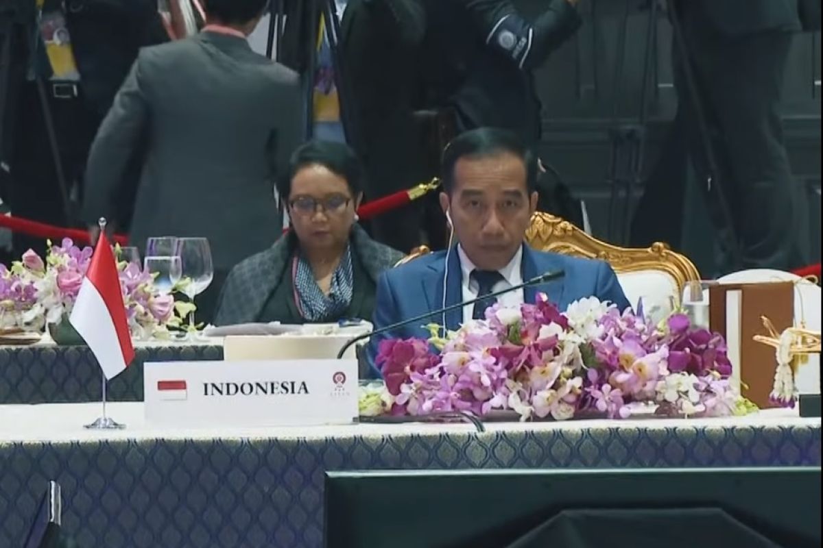 Indonesia prepped to contribute to realization of SDGs: President