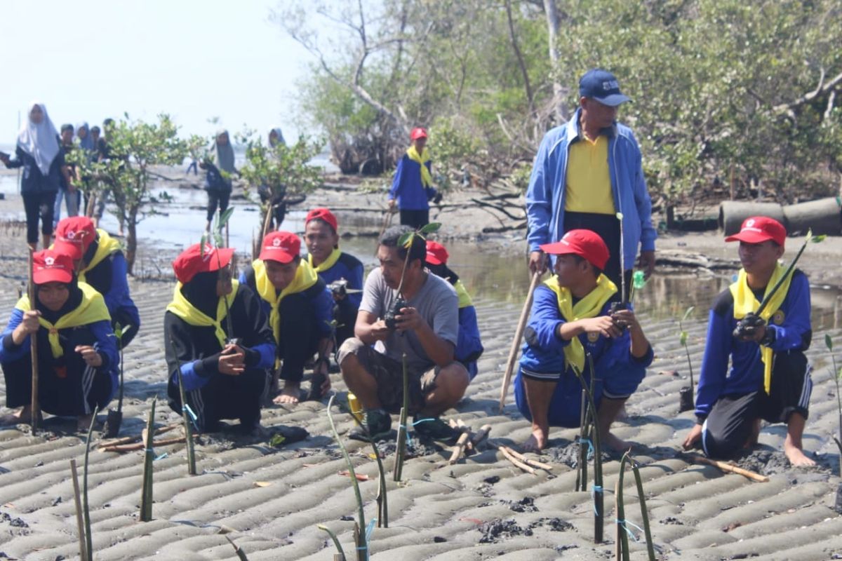 Pertamina melibatkan pelajar tanam bibit mangrove di Luwu