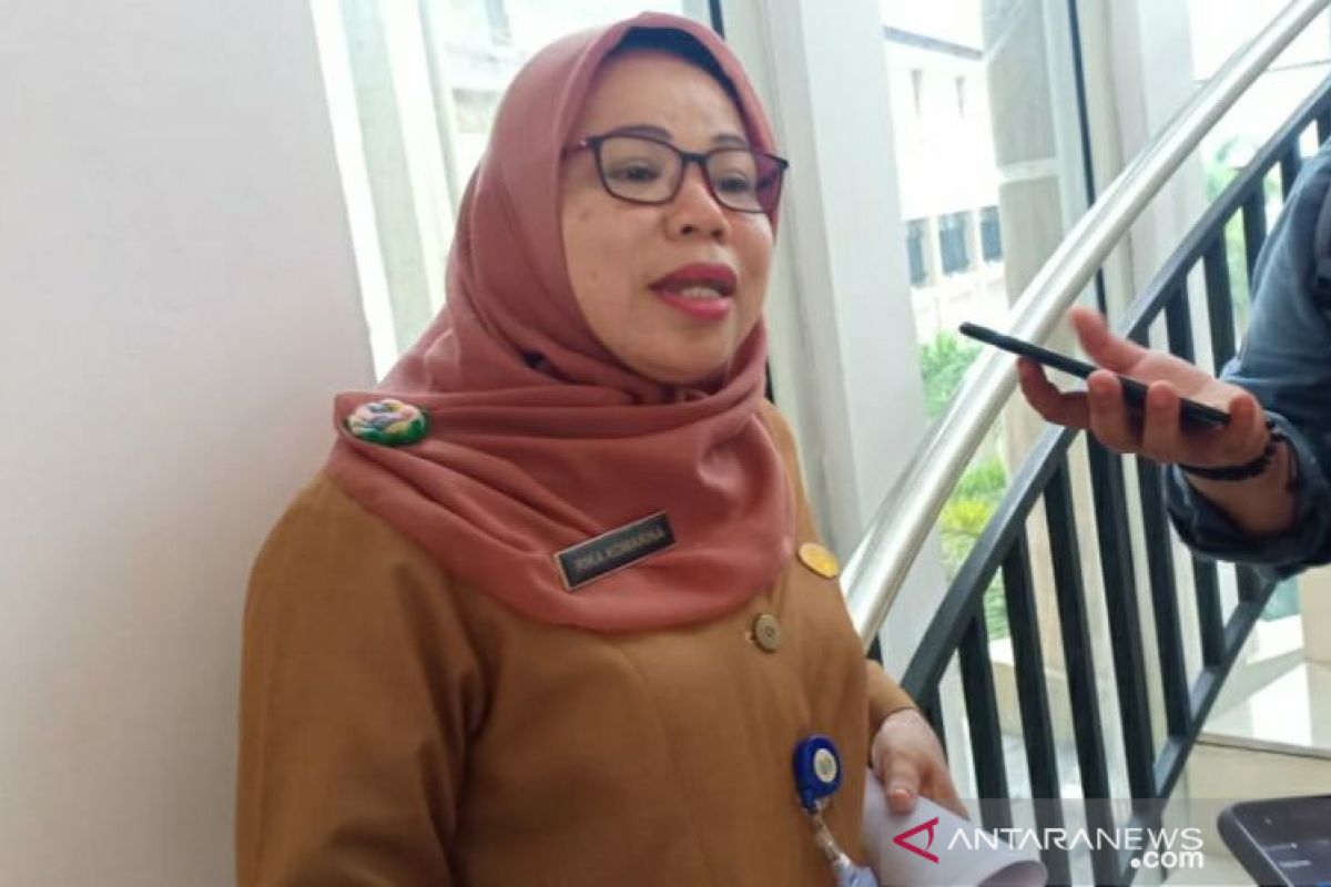 Kadinsos: Kasus KDRT di Pangkalpinang turun