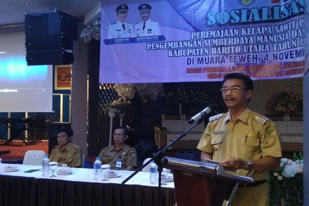 Pemkab Barito Utara sosialisasi peremajaan tanaman perkebunan sawit