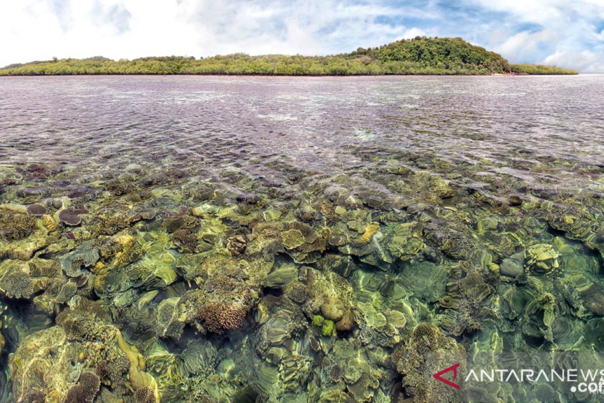 Kunjungan wisatawan di Bangka Belitung capai 36.098 orang