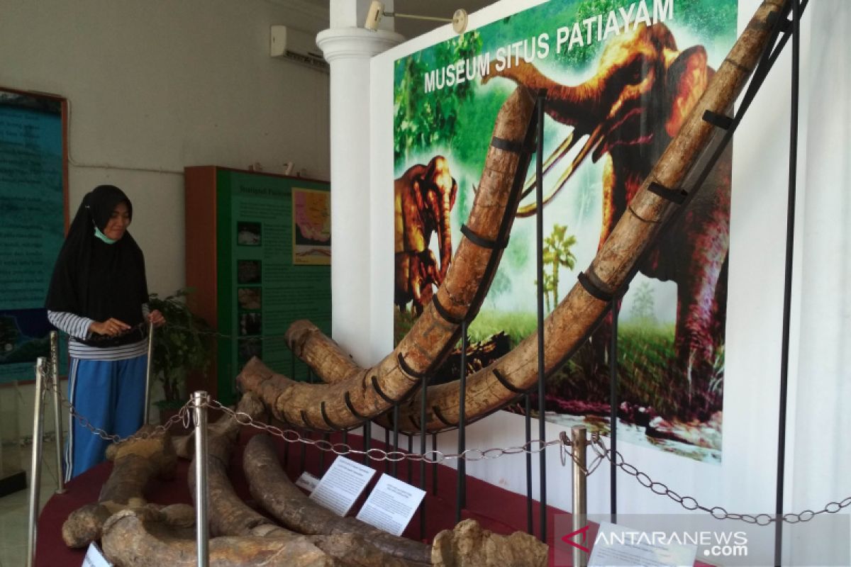 Ruang pamer koleksi Museum Patiayam Kudus bakal ditata ulang