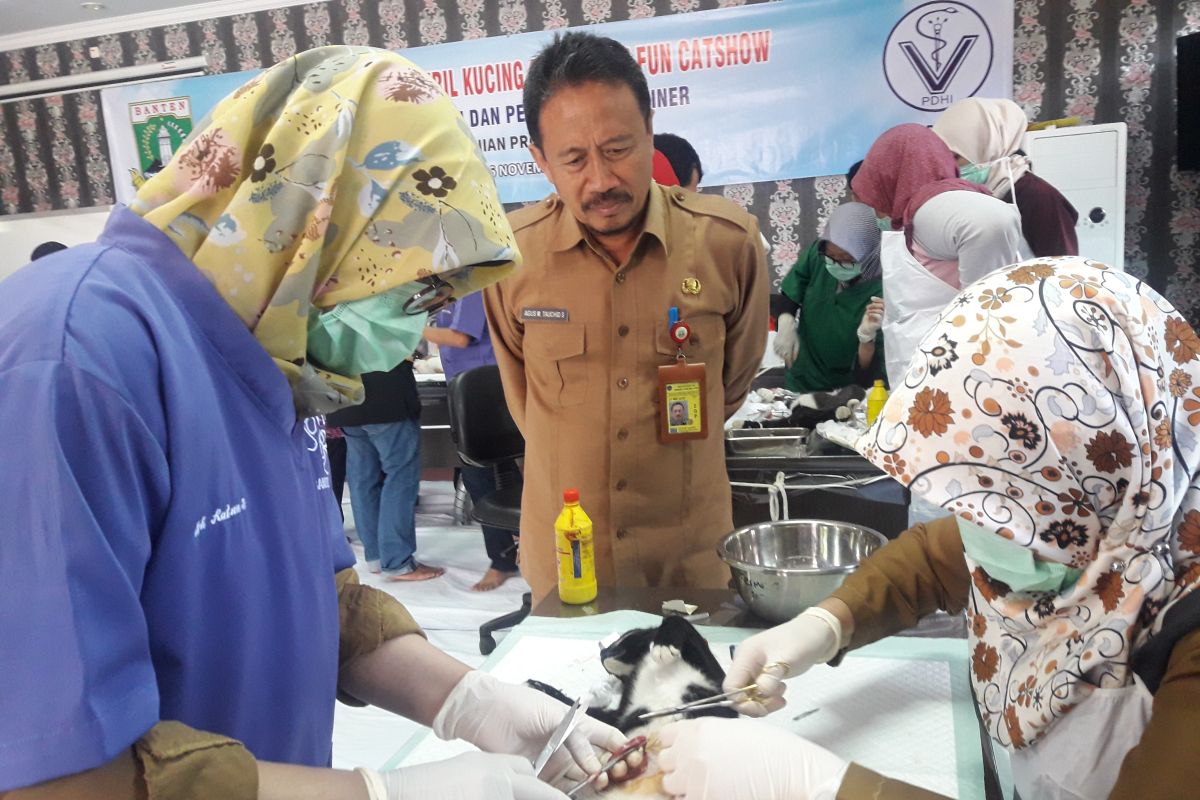 Vaksin dan steril kucing dilakukan Distan Banten  antisipasi rabies