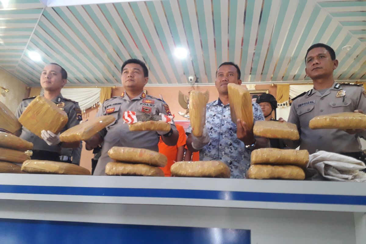 Polres Pasaman Barat tangkap pengedar ganja 17 kilogram